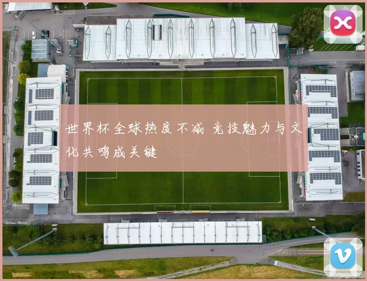 世界杯全球热度不减 竞技魅力与文化共鸣成关键
