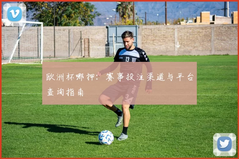 欧洲杯哪押：赛事投注渠道与平台查询指南