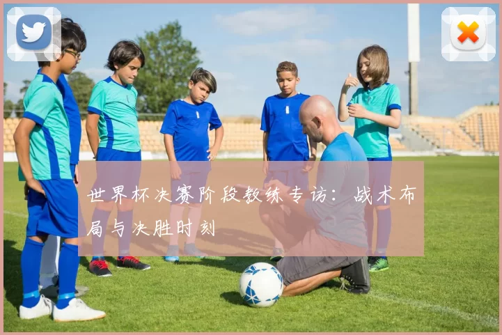 世界杯决赛阶段教练专访：战术布局与决胜时刻
