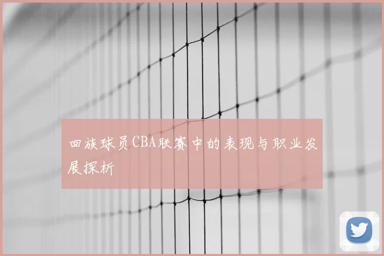 回族球员CBA联赛中的表现与职业发展探析