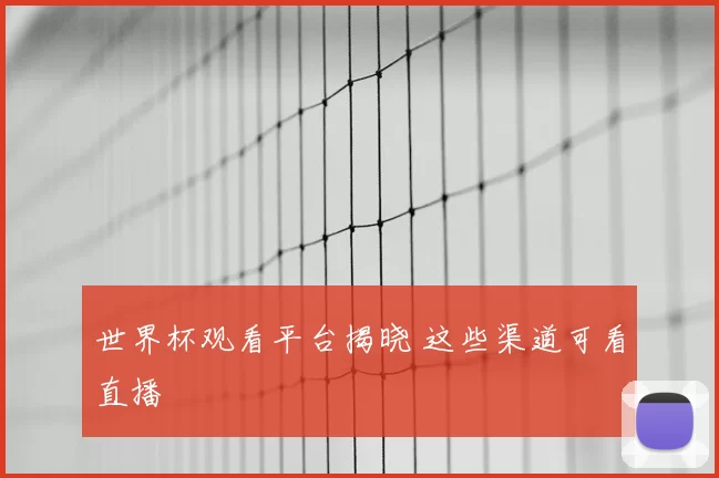 世界杯观看平台揭晓 这些渠道可看直播