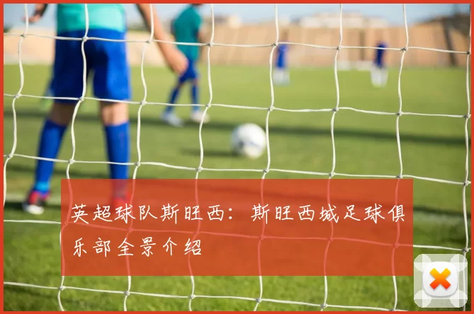 英超球队斯旺西：斯旺西城足球俱乐部全景介绍