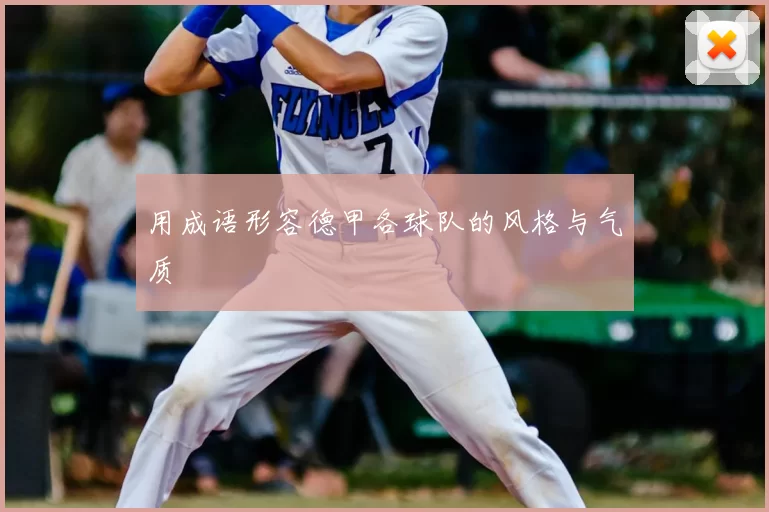 用成语形容德甲各球队的风格与气质