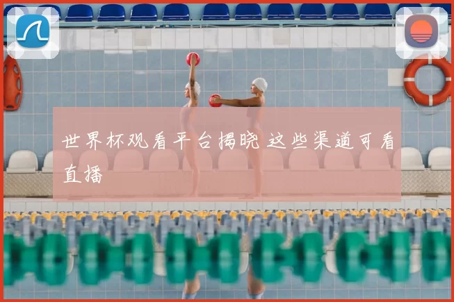 世界杯观看平台揭晓 这些渠道可看直播