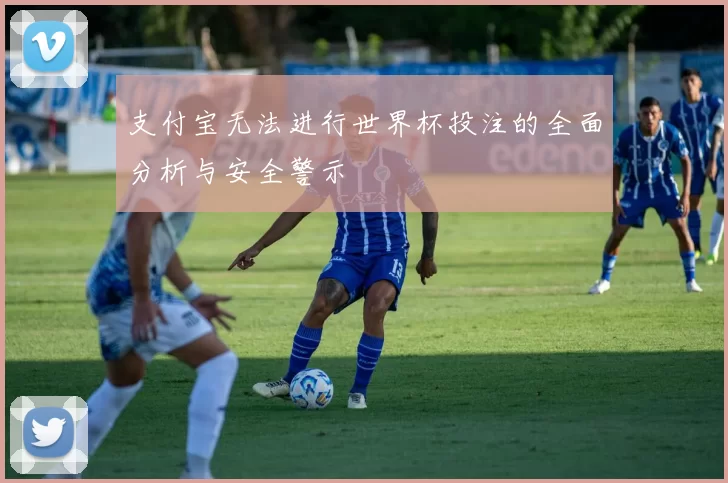 支付宝无法进行世界杯投注的全面分析与安全警示
