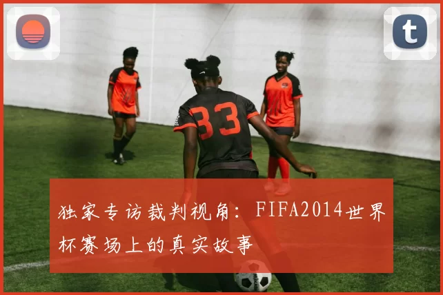 独家专访裁判视角：FIFA2014世界杯赛场上的真实故事