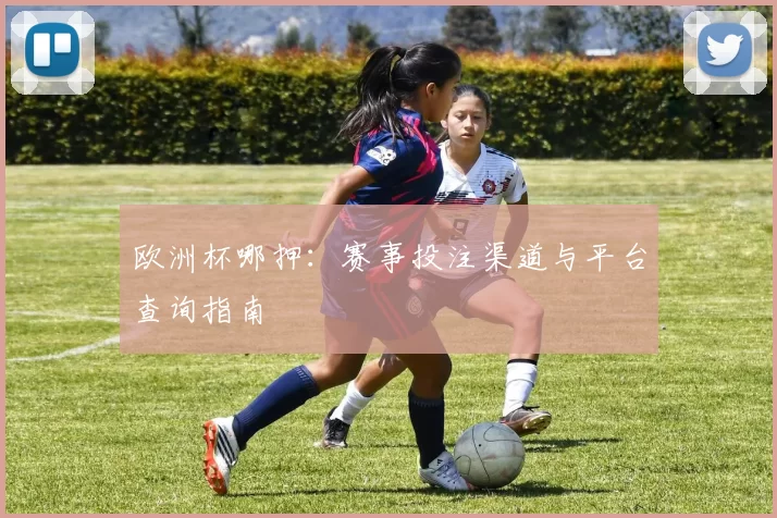 欧洲杯哪押：赛事投注渠道与平台查询指南