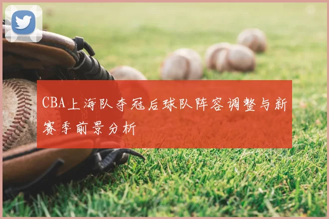 CBA上海队夺冠后球队阵容调整与新赛季前景分析