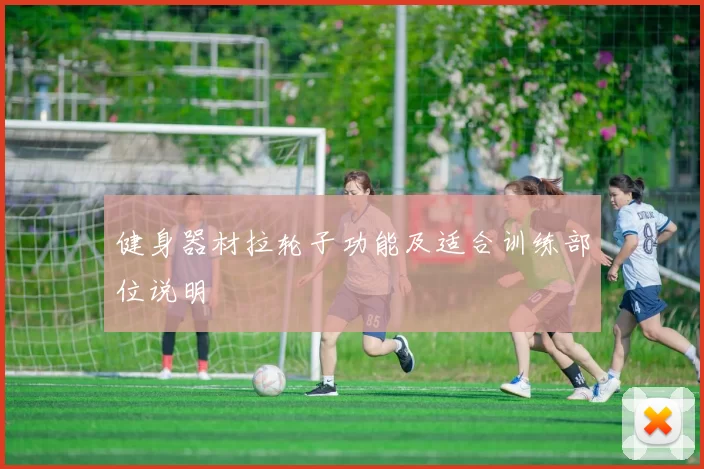 健身器材拉轮子功能及适合训练部位说明