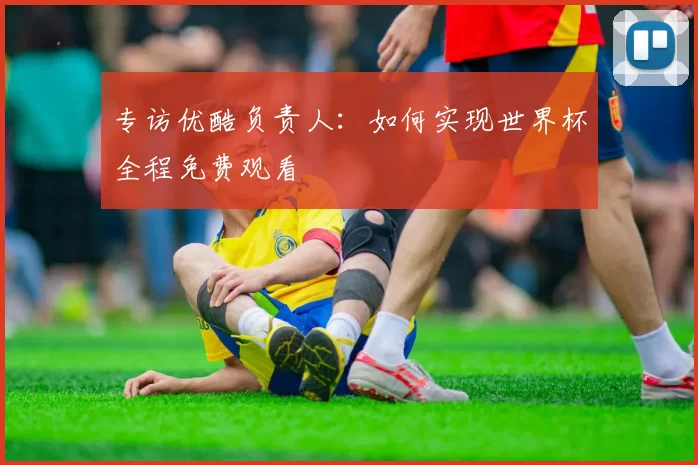 专访优酷负责人：如何实现世界杯全程免费观看