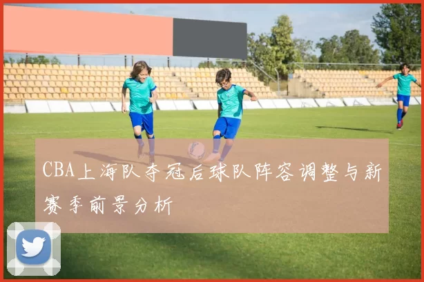 CBA上海队夺冠后球队阵容调整与新赛季前景分析