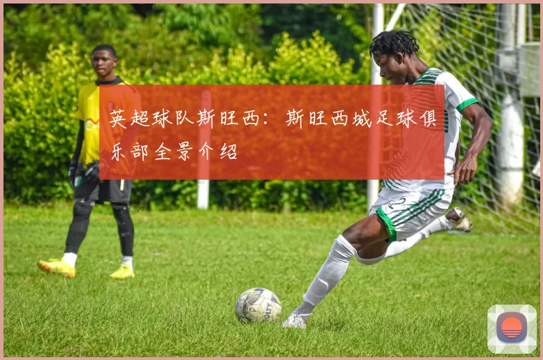 英超球队斯旺西:斯旺西城足球俱乐部全景介绍