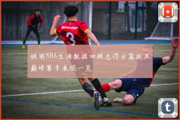 姚明NBA生涯数据回顾总得分篮板及巅峰赛季表现一览