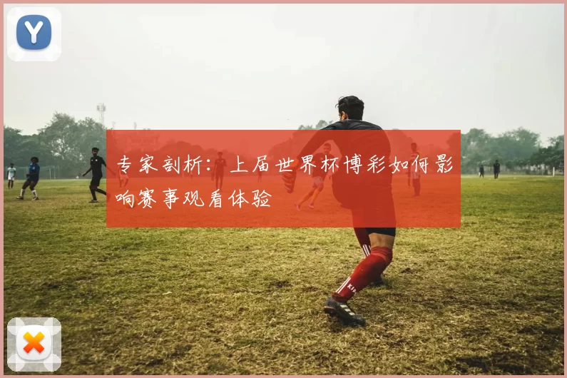 专家剖析：上届世界杯博彩如何影响赛事观看体验