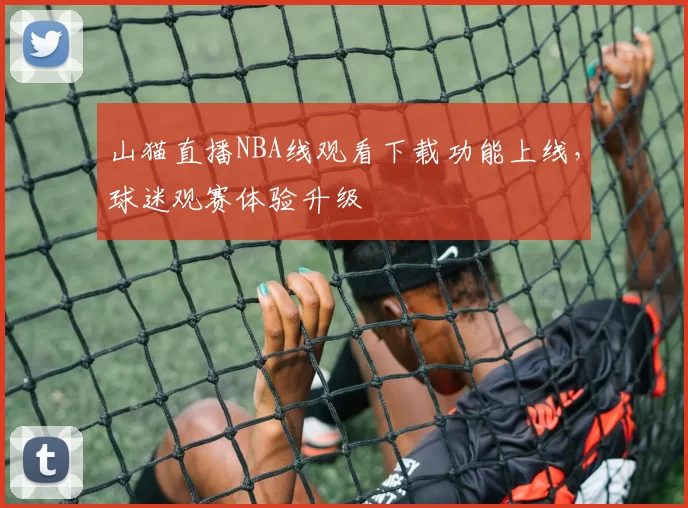 山猫直播NBA线观看下载功能上线，球迷观赛体验升级