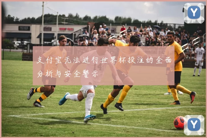 支付宝无法进行世界杯投注的全面分析与安全警示